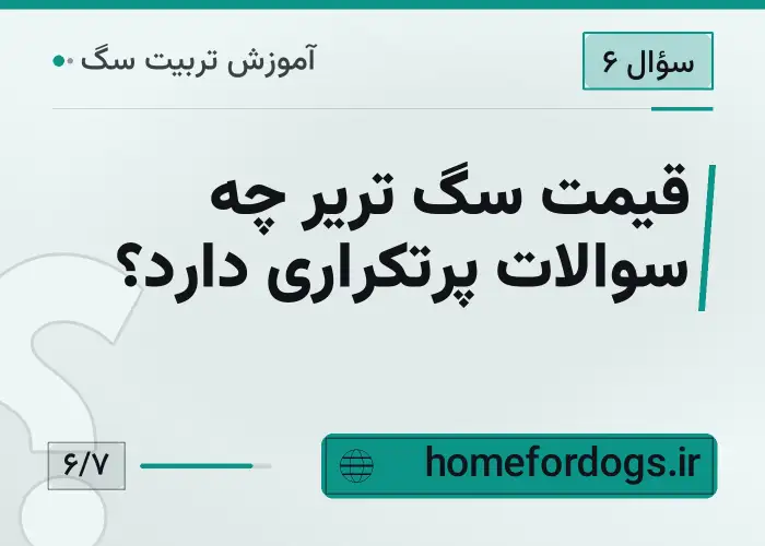 قیمت سگ تریر چه سوالات پرتکراری دارد؟