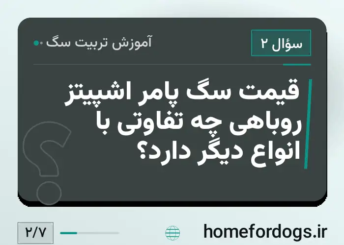 قیمت سگ پامر اشپیتز روباهی چه تفاوتی با انواع دیگر دارد؟