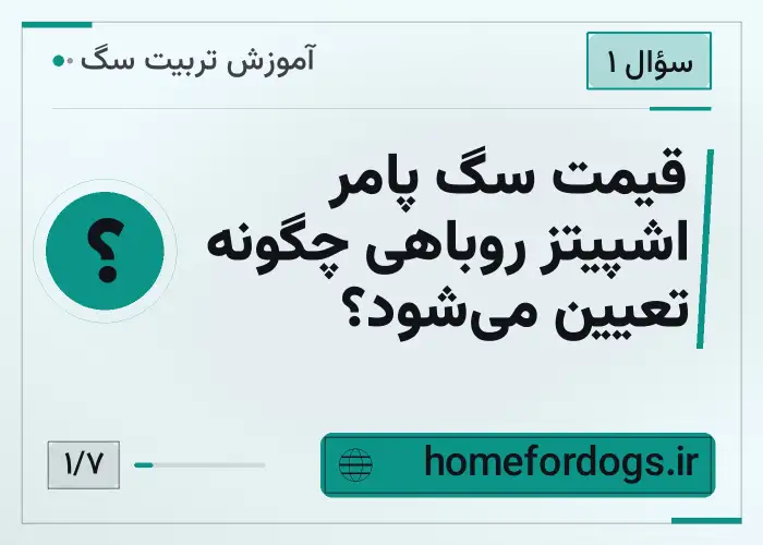 قیمت سگ پامر اشپیتز روباهی چگونه تعیین می‌شود؟