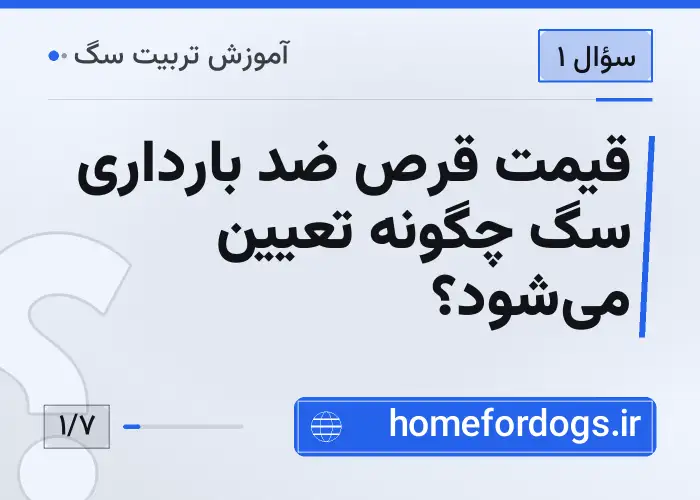 قیمت قرص ضد بارداری سگ چگونه تعیین می‌شود؟