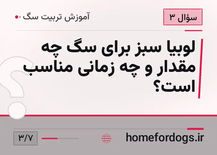لوبیا سبز برای سگ چه مقدار و چه زمانی مناسب است؟