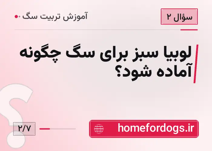 لوبیا سبز برای سگ چگونه آماده شود؟