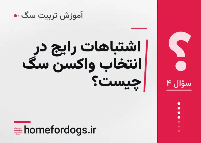 اشتباهات رایج در انتخاب واکسن سگ چیست؟