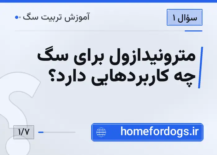 مترونیدازول برای سگ چه کاربردهایی دارد؟