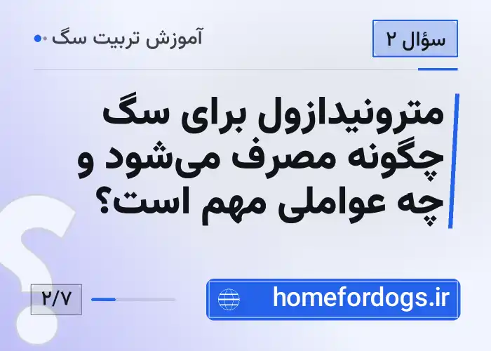 مترونیدازول برای سگ چگونه مصرف می‌شود و چه عواملی مهم است؟