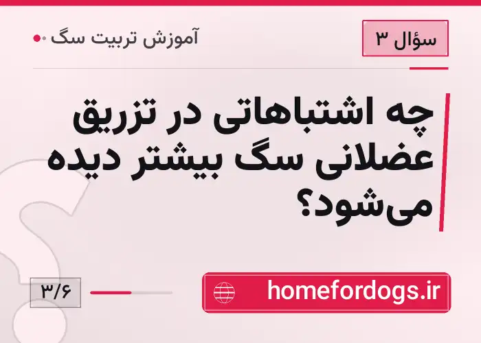 چه اشتباهاتی در تزریق عضلانی سگ بیشتر دیده می‌شود؟