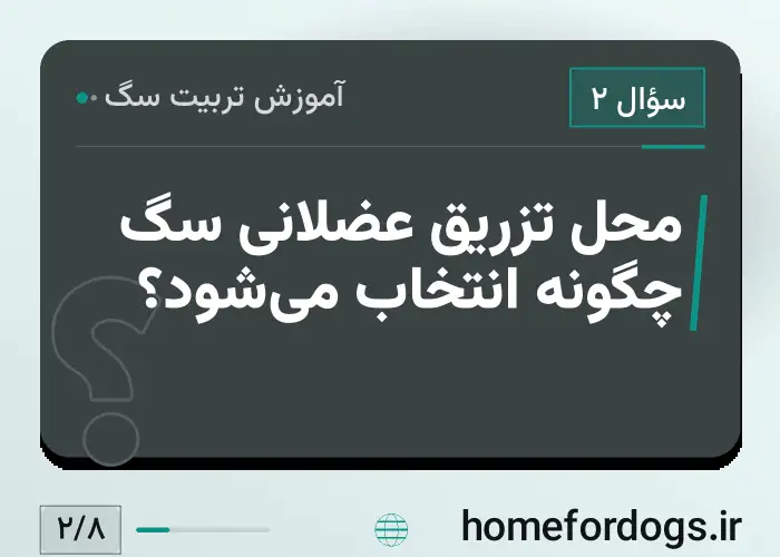 محل تزریق عضلانی سگ چگونه انتخاب می‌شود؟