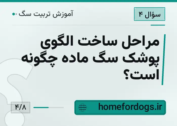 مراحل ساخت الگوی پوشک سگ ماده چگونه است؟