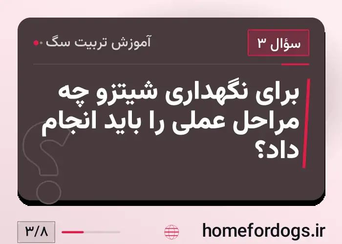 برای نگهداری شیتزو چه مراحل عملی را باید انجام داد؟