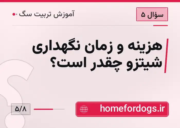 هزینه و زمان نگهداری شیتزو چقدر است؟