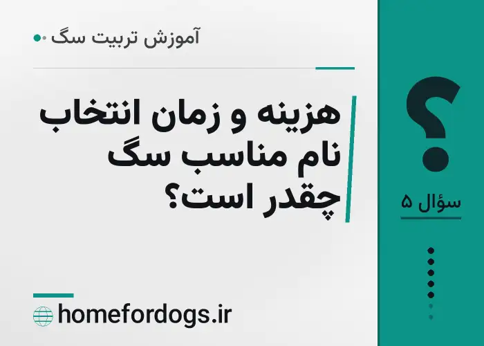 هزینه و زمان انتخاب نام مناسب سگ چقدر است؟