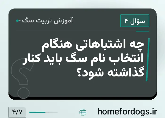 چه اشتباهاتی هنگام انتخاب نام سگ باید کنار گذاشته شود؟