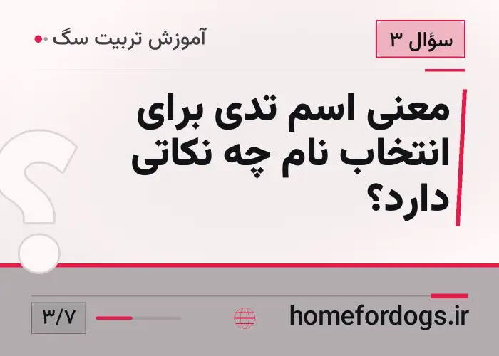 معنی اسم تدی برای انتخاب نام چه نکاتی دارد؟