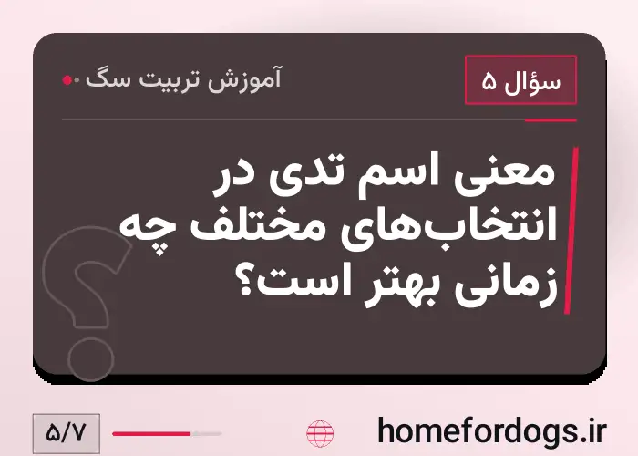 معنی اسم تدی در انتخاب‌های مختلف چه زمانی بهتر است؟