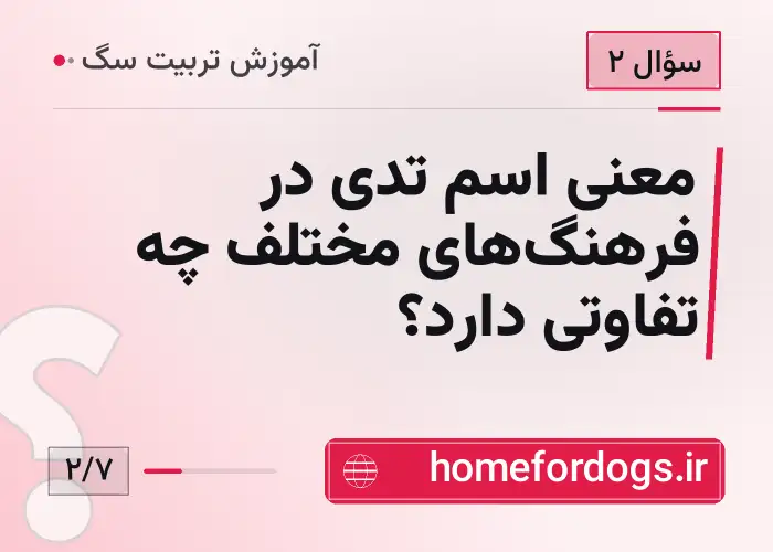 معنی اسم تدی در فرهنگ‌های مختلف چه تفاوتی دارد؟