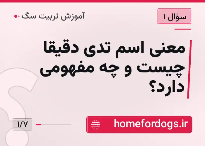 معنی اسم تدی دقیقاً چیست و چه مفهومی دارد؟