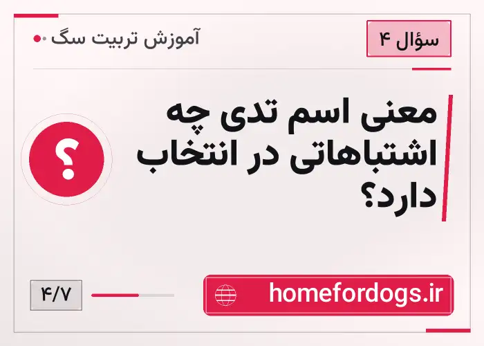 معنی اسم تدی چه اشتباهاتی در انتخاب دارد؟