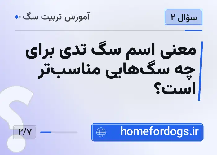 معنی اسم سگ تدی برای چه سگ‌هایی مناسب‌تر است؟