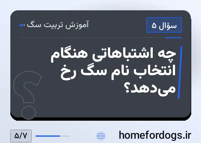 چه اشتباهاتی هنگام انتخاب نام سگ رخ می‌دهد؟
