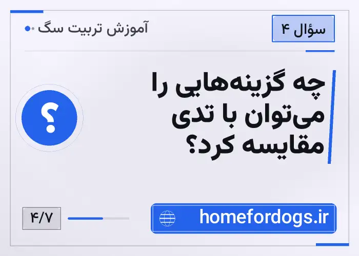 چه گزینه‌هایی را می‌توان با تدی مقایسه کرد؟