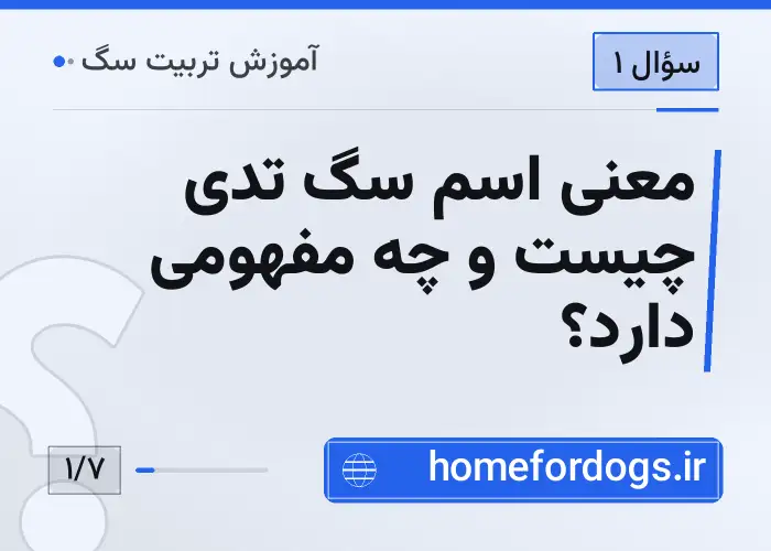 معنی اسم سگ تدی چیست و چه مفهومی دارد؟