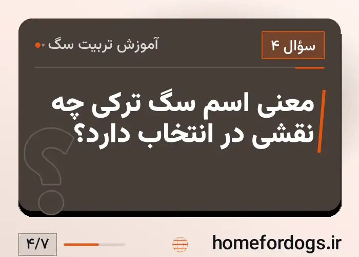 معنی اسم سگ ترکی چه نقشی در انتخاب دارد؟