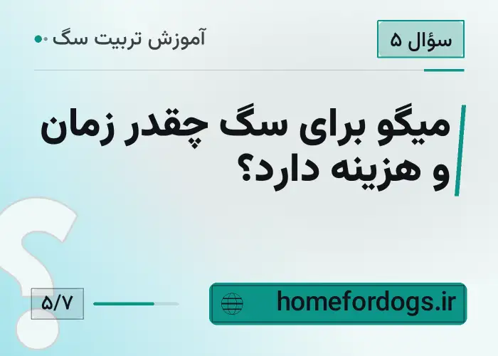 میگو برای سگ چقدر زمان و هزینه دارد؟