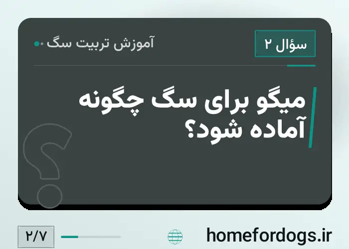 میگو برای سگ چگونه آماده شود؟