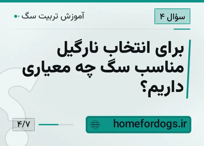 برای انتخاب نارگیل مناسب سگ چه معیاری داریم؟