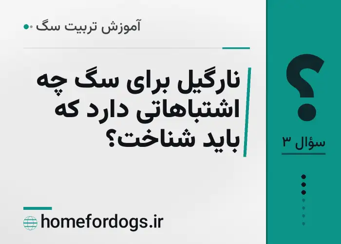 نارگیل برای سگ چه اشتباهاتی دارد که باید شناخت؟