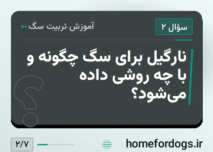 نارگیل برای سگ چگونه و با چه روشی داده می‌شود؟