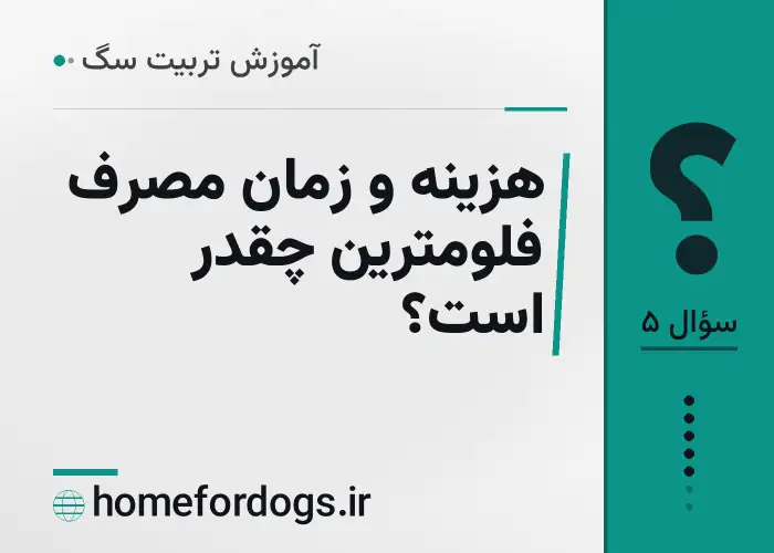 هزینه و زمان مصرف فلومترین چقدر است؟