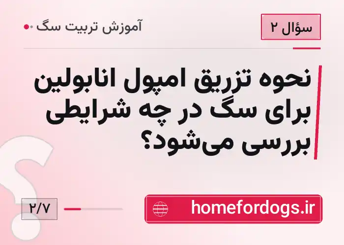 نحوه تزریق امپول انابولین برای سگ در چه شرایطی بررسی می‌شود؟