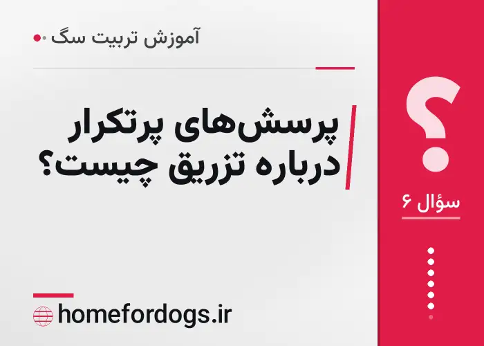 پرسش‌های پرتکرار درباره تزریق چیست؟