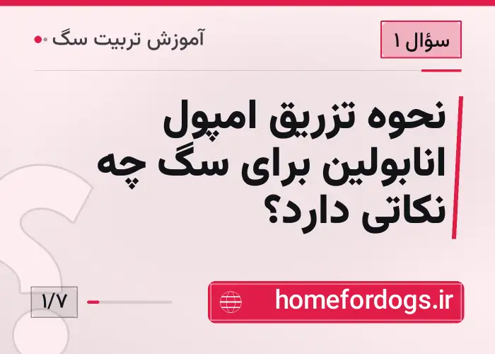 نحوه تزریق امپول انابولین برای سگ چه نکاتی دارد؟