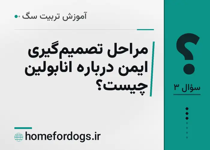 مراحل تصمیم‌گیری ایمن درباره انابولین چیست؟