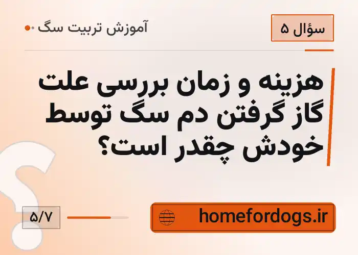 هزینه و زمان بررسی علت گاز گرفتن دم سگ توسط خودش چقدر است؟