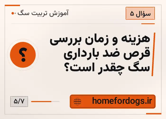 هزینه و زمان بررسی قرص ضد بارداری سگ چقدر است؟