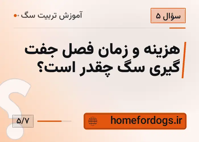 هزینه و زمان فصل جفت گیری سگ چقدر است؟