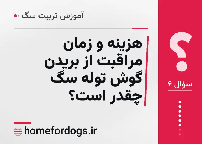 هزینه و زمان مراقبت از بریدن گوش توله سگ چقدر است؟
