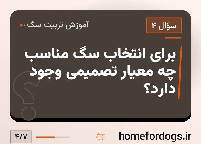 برای انتخاب سگ مناسب چه معیار تصمیمی وجود دارد؟