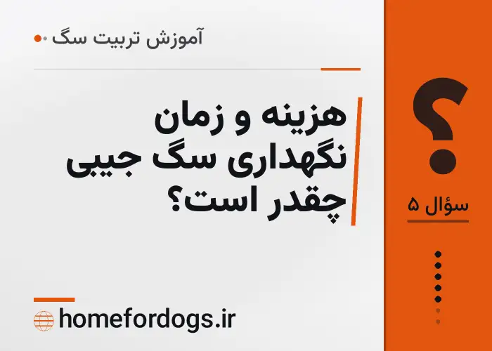 هزینه و زمان نگهداری سگ جیبی چقدر است؟
