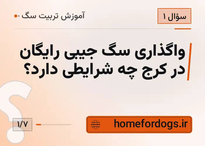 واگذاری سگ جیبی رایگان در کرج چه شرایطی دارد؟