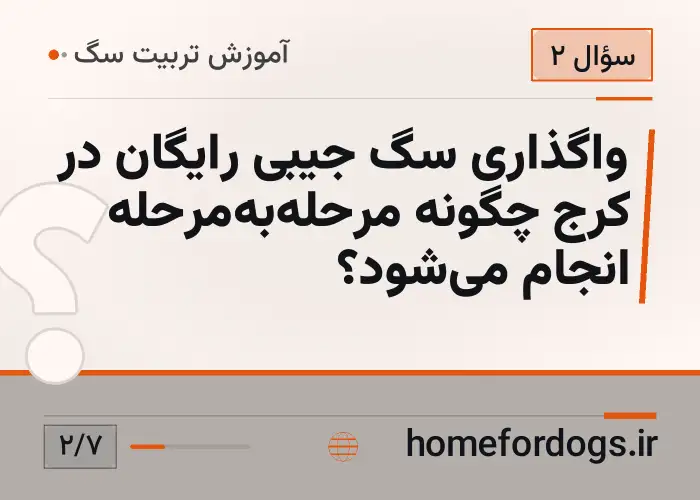 واگذاری سگ جیبی رایگان در کرج چگونه مرحله‌به‌مرحله انجام می‌شود؟