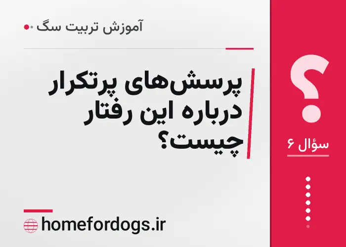 پرسش‌های پرتکرار درباره این رفتار چیست؟