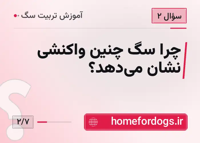 چرا سگ چنین واکنشی نشان می‌دهد؟