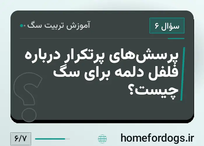 پرسش‌های پرتکرار درباره فلفل دلمه برای سگ چیست؟