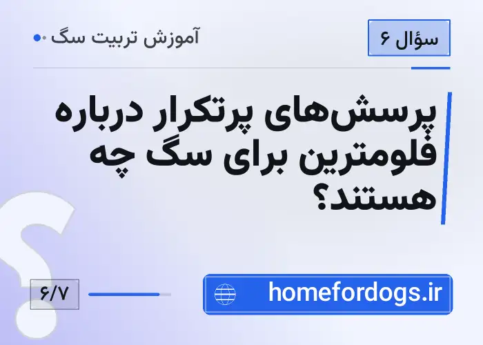 پرسش‌های پرتکرار درباره فلومترین برای سگ چه هستند؟
