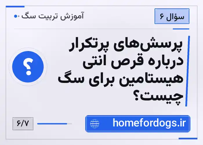 پرسش‌های پرتکرار درباره قرص انتی هیستامین برای سگ چیست؟