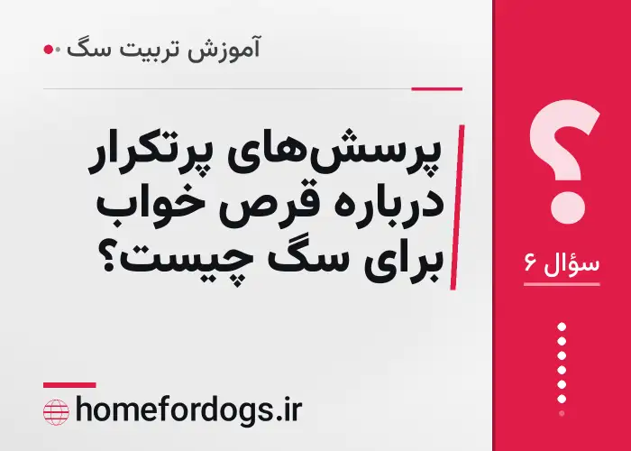 پرسش‌های پرتکرار درباره قرص خواب برای سگ چیست؟